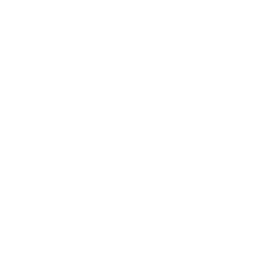 輝きのアイコン